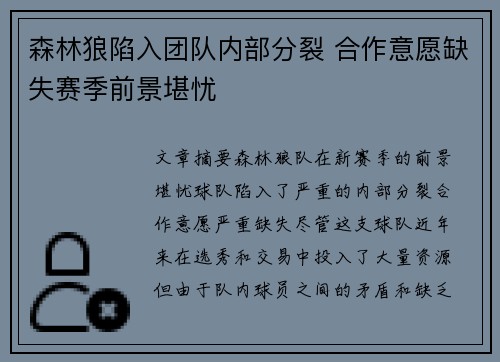 森林狼陷入团队内部分裂 合作意愿缺失赛季前景堪忧