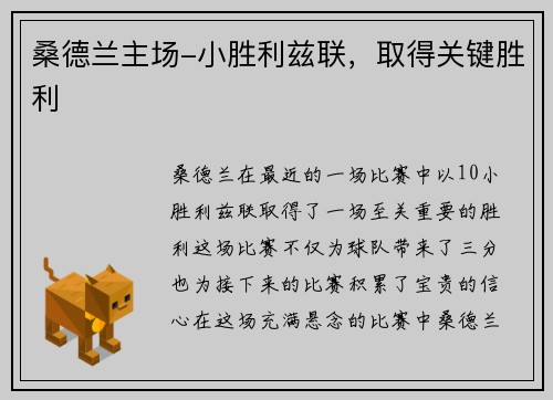 桑德兰主场-小胜利兹联，取得关键胜利